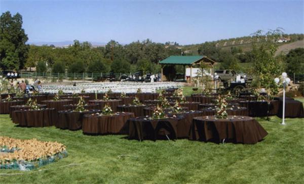 Hotel The Eden House Vineyard Templeton Exterior foto